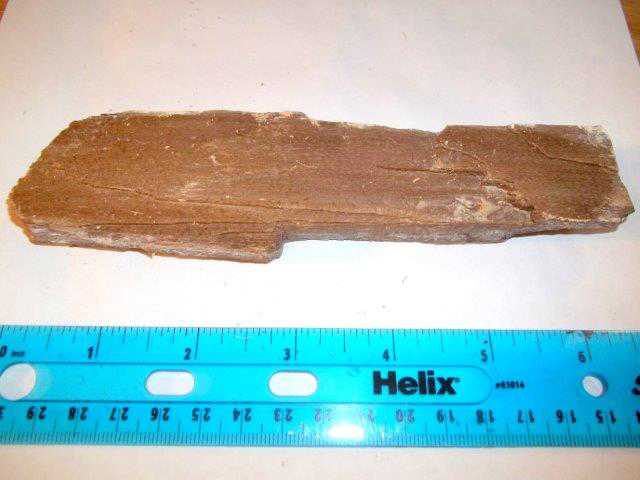 Bruneau Wood Pile (8).jpg